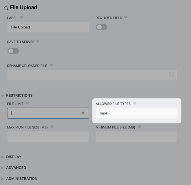 File Uploads Restriction Setting: Allowed File Type