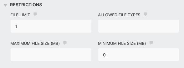 restriction settings for file number, type, and size